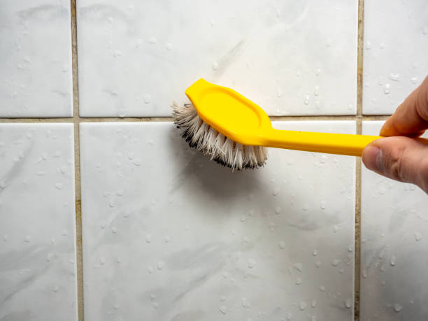 Best Emergency Mold Remediation in Greenbriar, VA