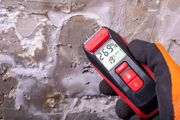 Best Mold Testing and Inspection Services in Greenbriar, VA