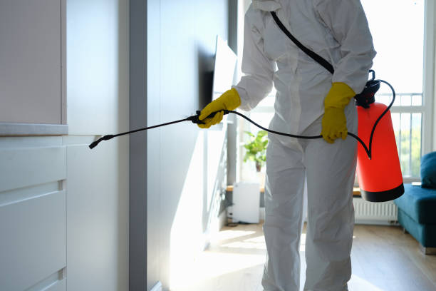 Best Localized Mold Remediation (e.g., coastal areas, humid climates) in Greenbriar, VA