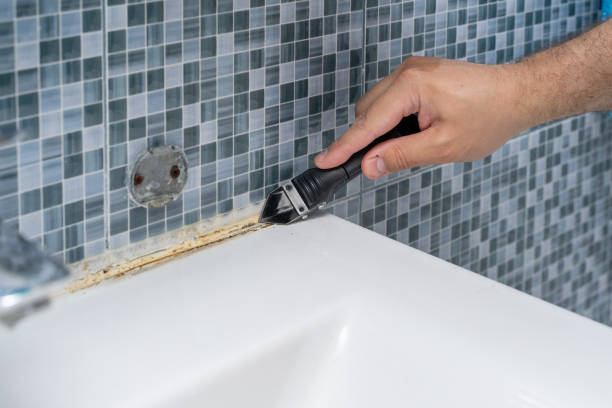 Best Health and Safety Mold Remediation in Greenbriar, VA